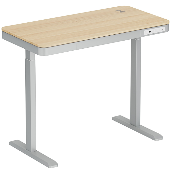 MESA DE ESCRITORIO AJUSTABLE ELECTRICO RC-SD2